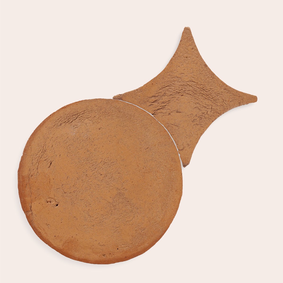 Oliva Vissuta - Tondo & Stella (Campione)