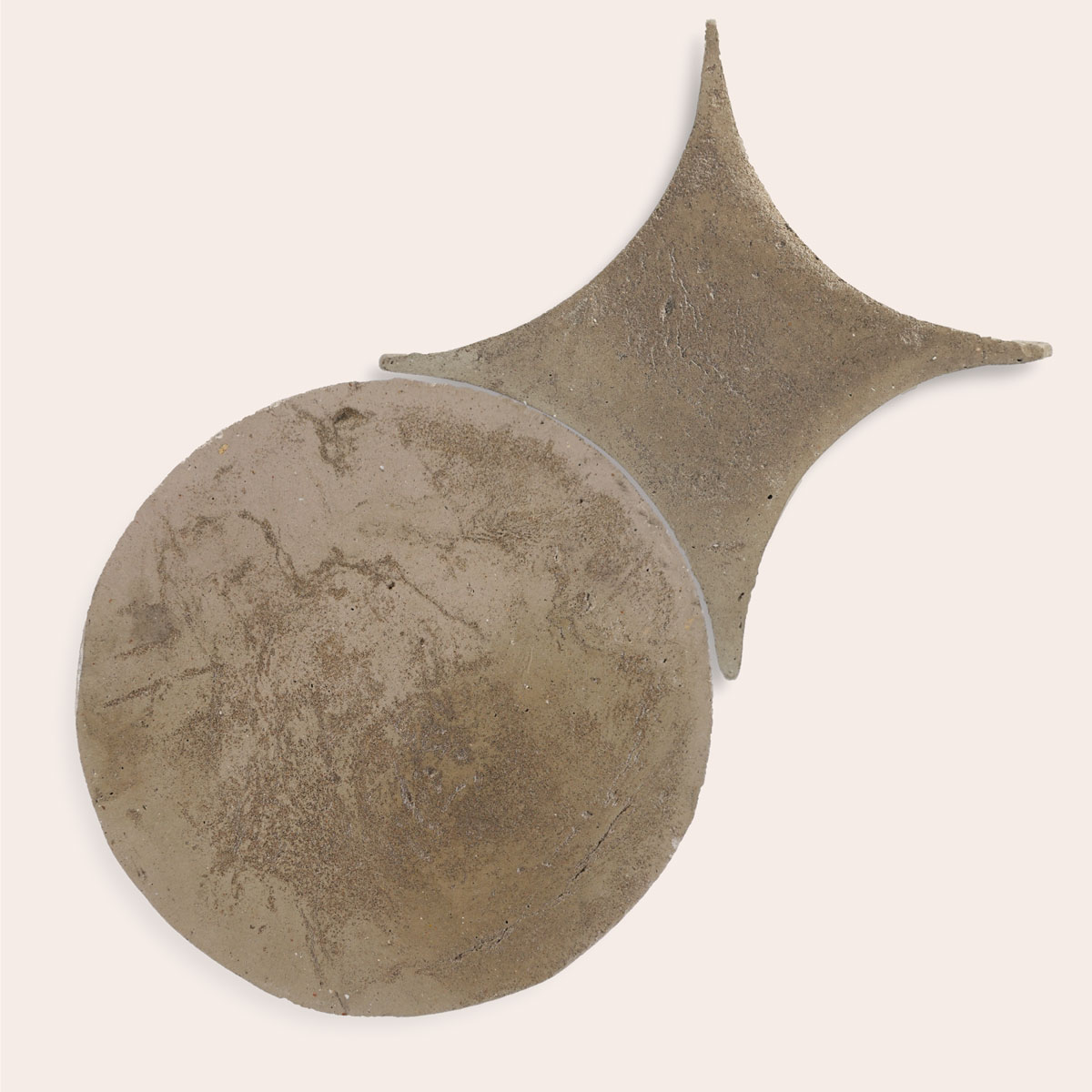 Oliva Grigia - Tondo & Stella (Campione)