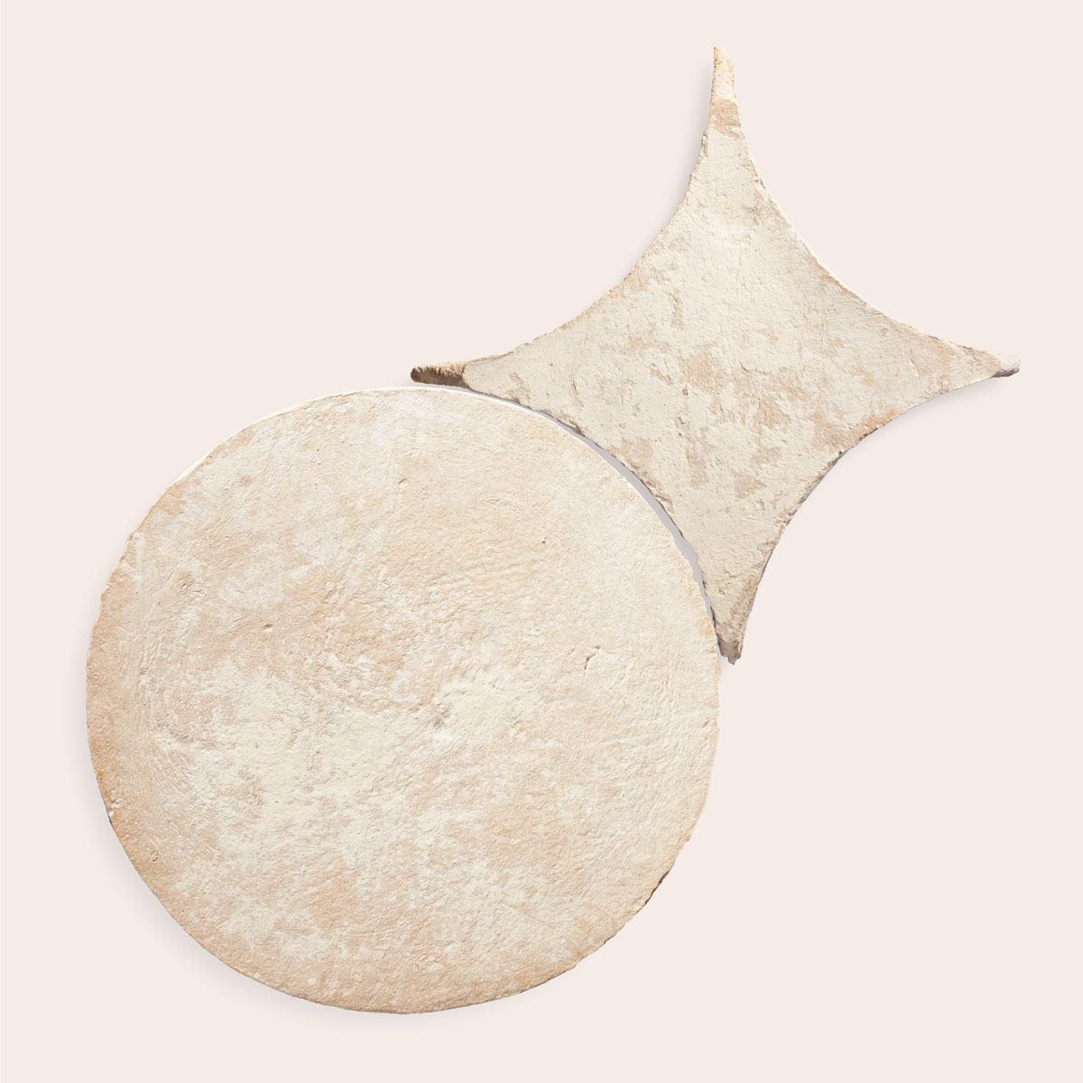 Oliva Velata - Tondo & Stella (Campione)
