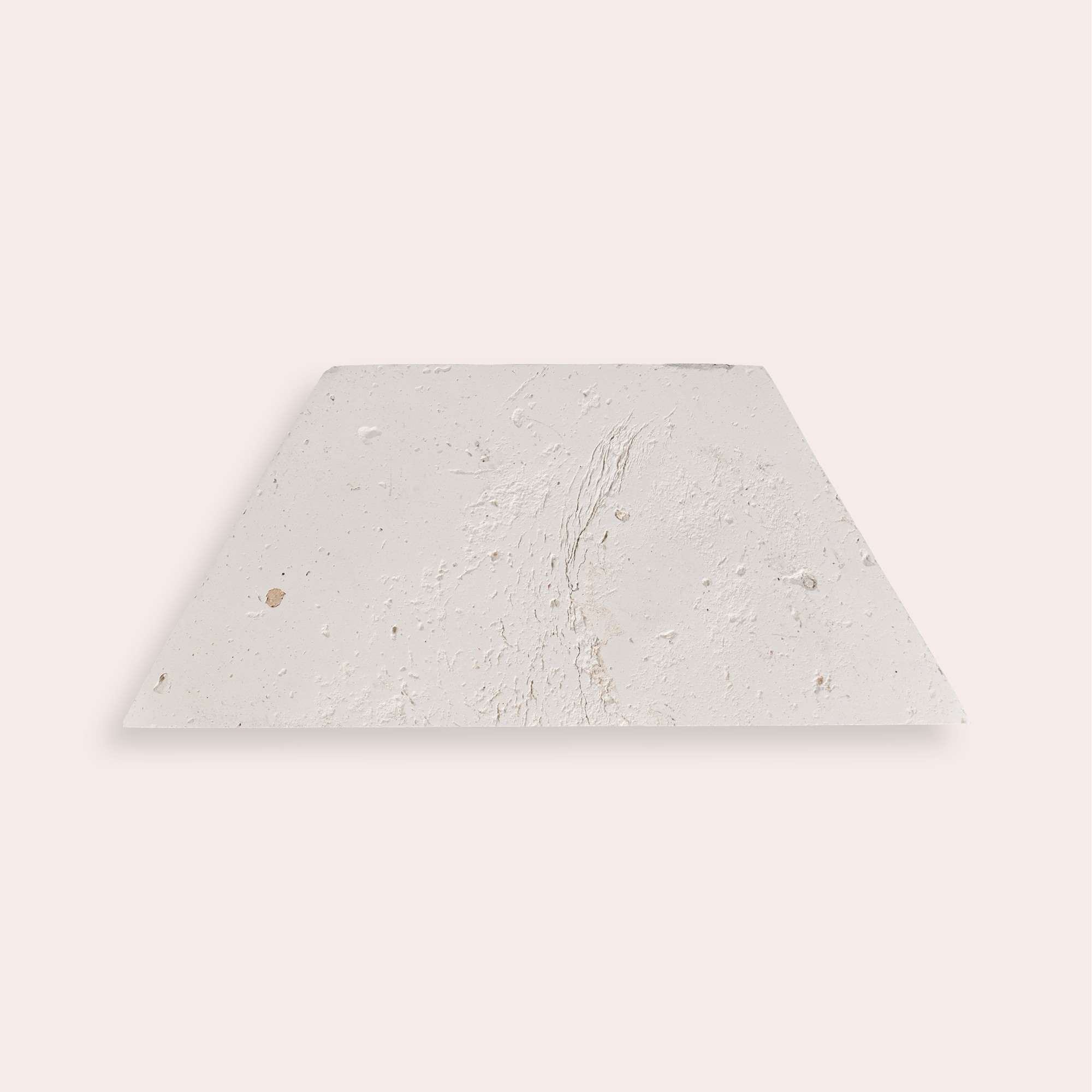 Oliva Bianca - 8,6 x 20 cm (Campione)