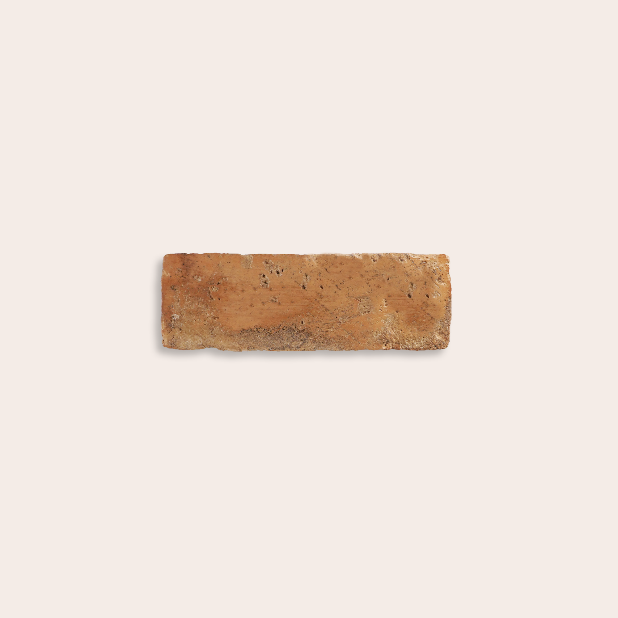 Oliva Rossa - 5 x 15 cm (Campione)