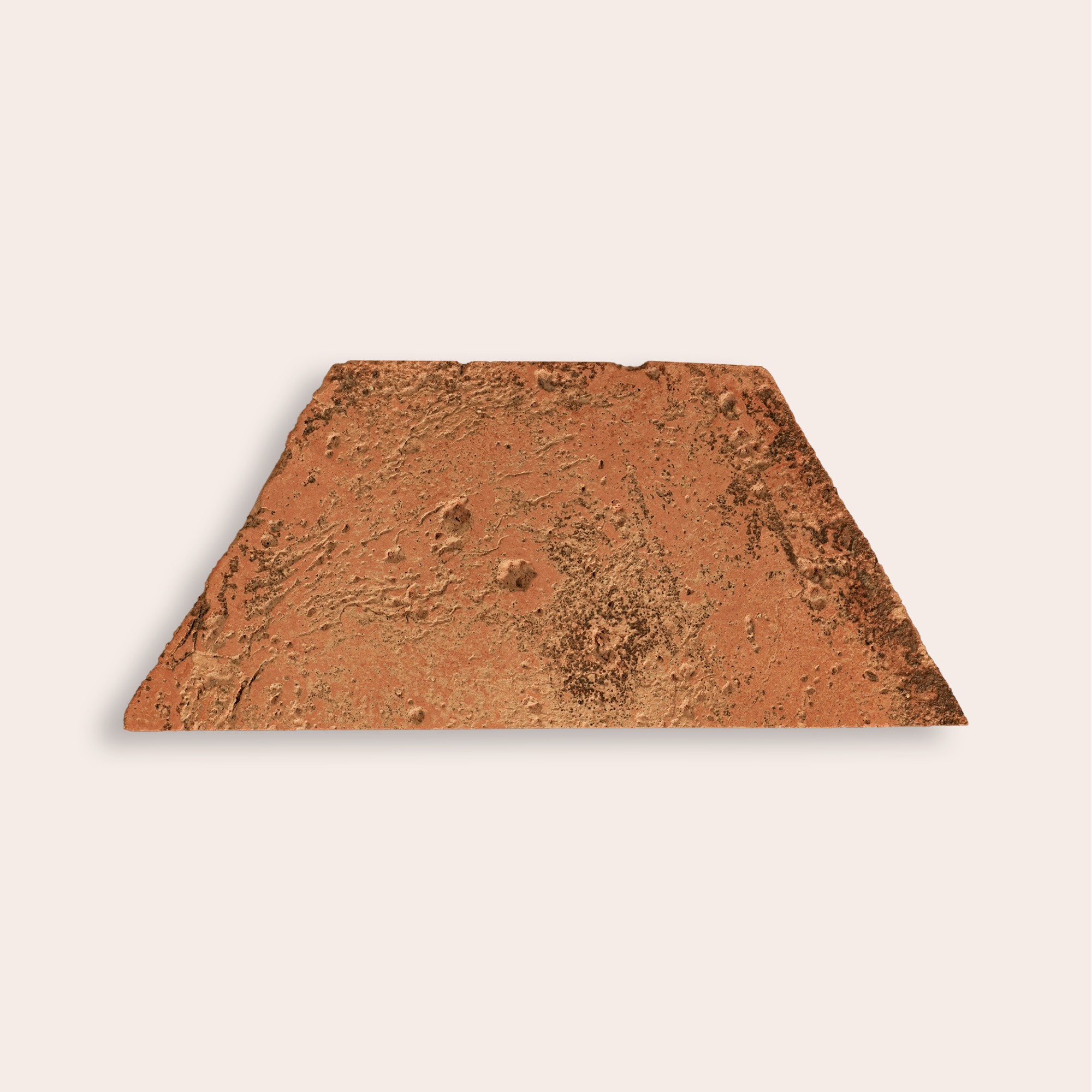 Oliva Rossa - 8,6 x 20 cm (Campione)