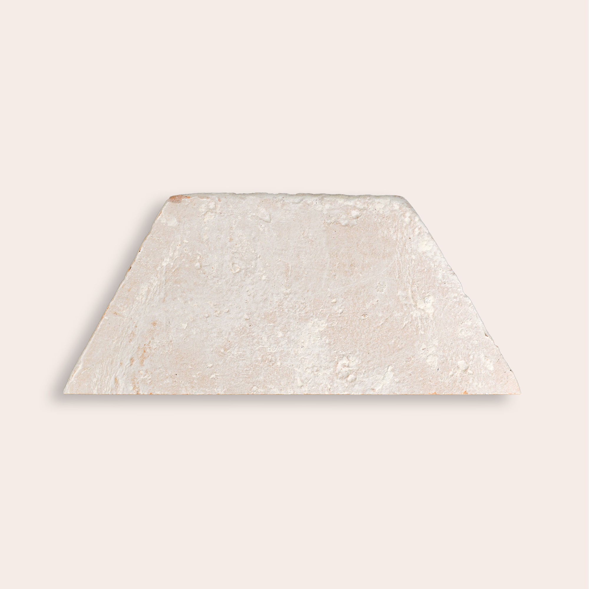 Oliva Velata - 8,6 x 20 cm (Campione)