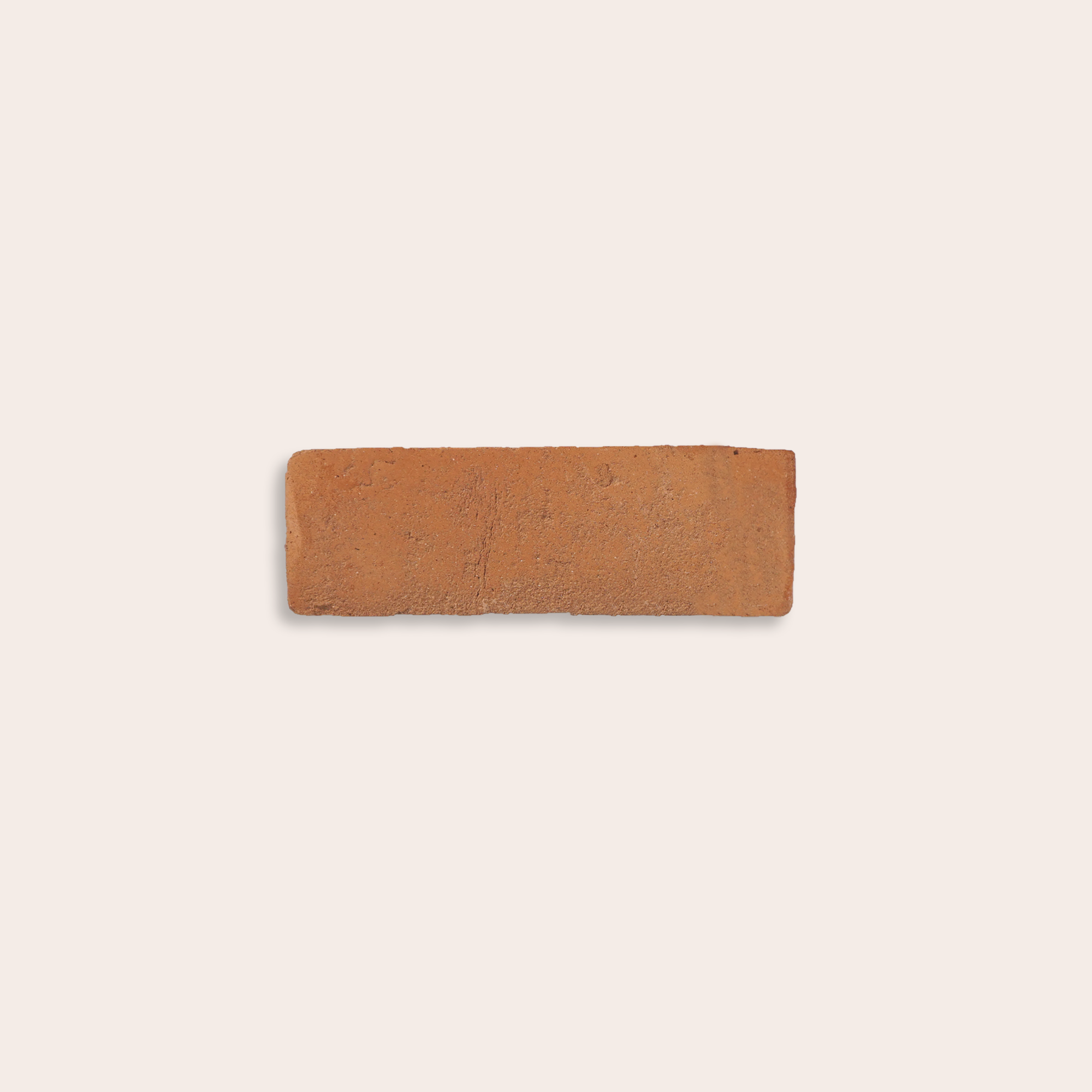 Oliva Vissuta - 5 x 15 cm (Campione)