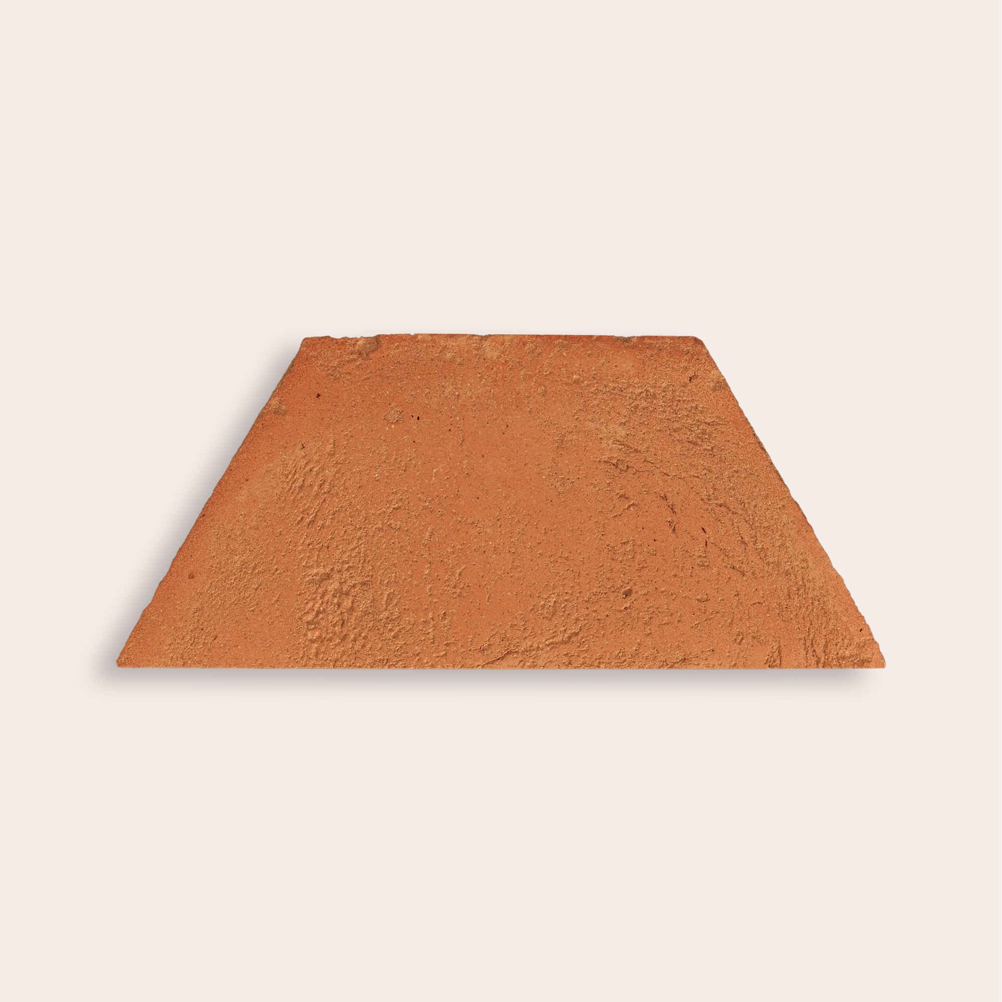 Oliva Vissuta - 8,6 x 20 cm (Campione)