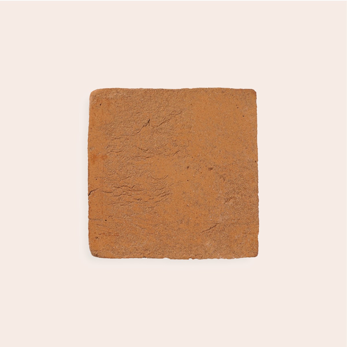 Oliva Vissuta - 10 x 10 cm (Campione)
