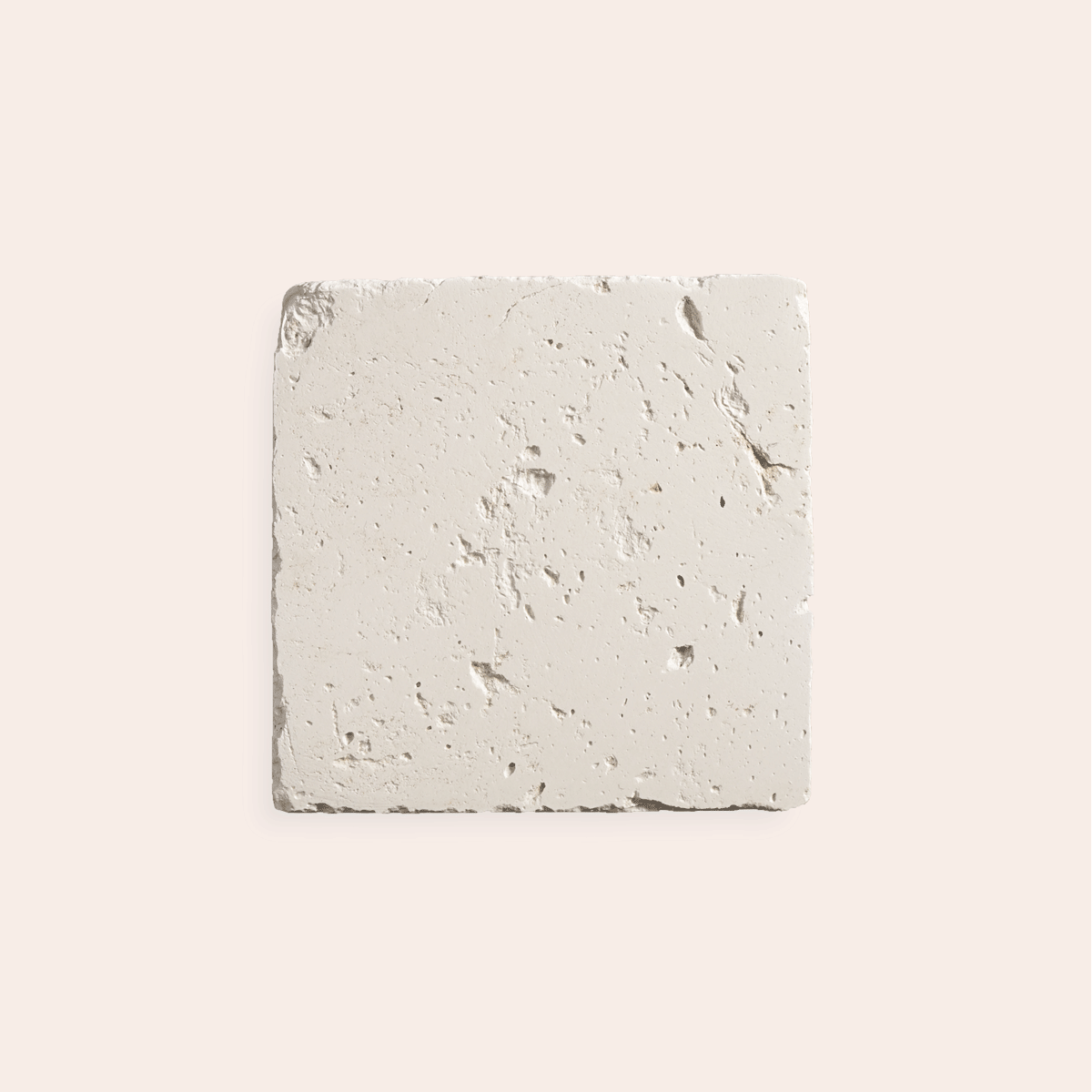 Oliva Bianca - 10 x 10 cm (Campione)
